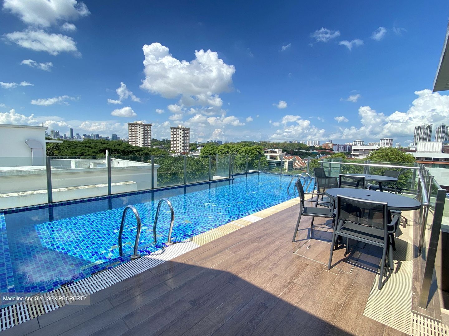 Dunearn Suites (D11), Apartment #383842191